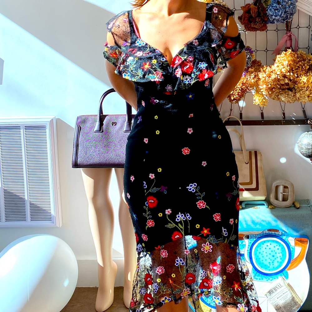 Stunning embroidered dress.